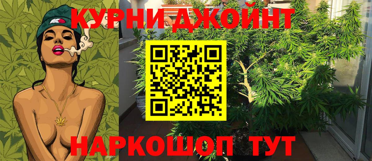 Бошки Шишки Bruce Banner  Конопля Bruce Banner  Карпинск  Шишки марихуана план  Вход с VPN 
